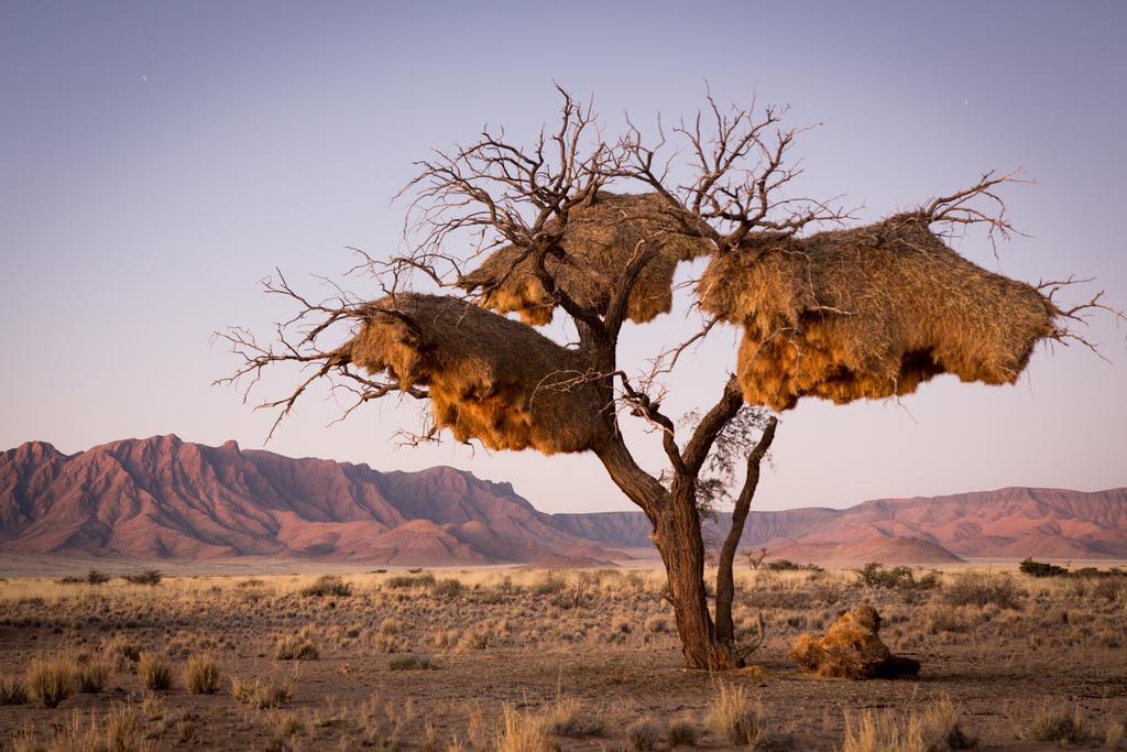 Desert Camp Sesriem Luaran gambar